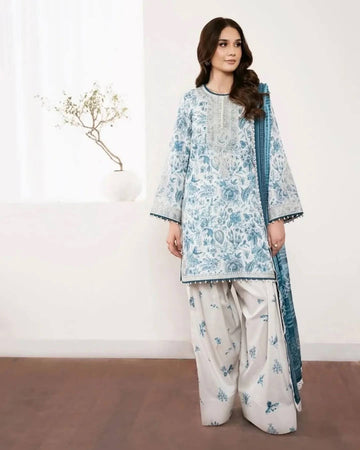 Printed kashmiri Dress